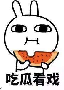 娱乐吃瓜酱买东西,揭秘明星日常用品